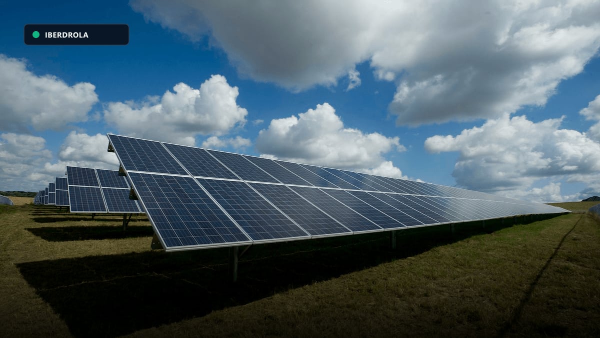Paneles solares de autoconsumo energético de alta eficiencia