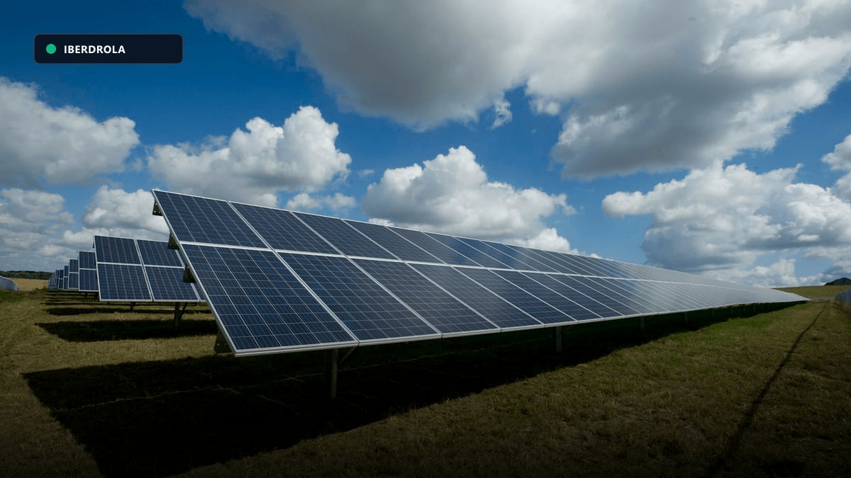 Paneles solares de autoconsumo energético de alta eficiencia
